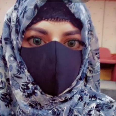 🧠 MCP Wiki Reader