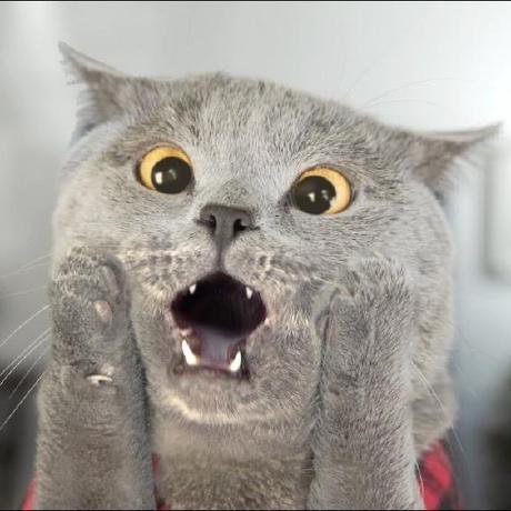 StarRocks MCP Server