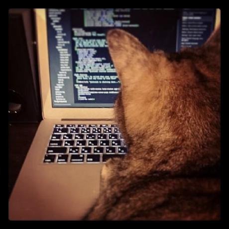 Japan Weather MCP Server 🌞