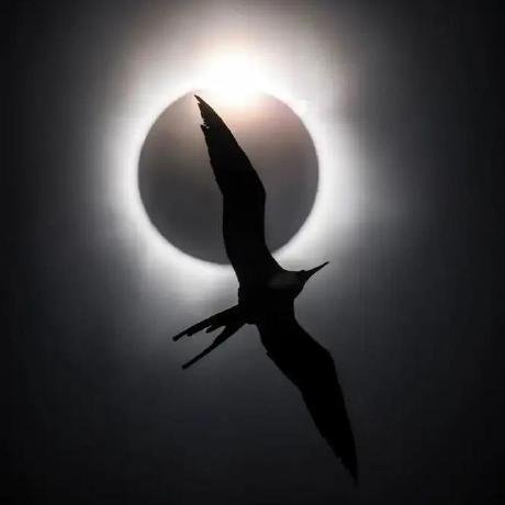 Dify Plugin Agent Mcp_sse