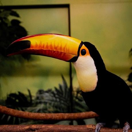 Morning Notification