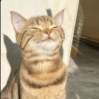 CoinGecko MCP Server