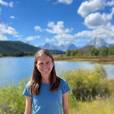 Canvas Assignment Assistant MCP Server