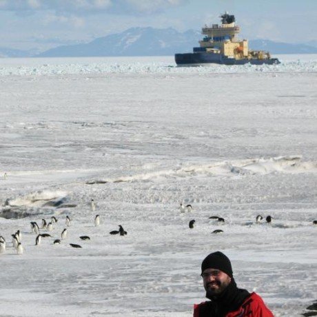 mcp-cps-data MCP server