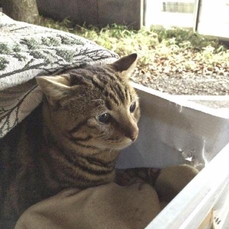 AI SDK MCP Docs Server