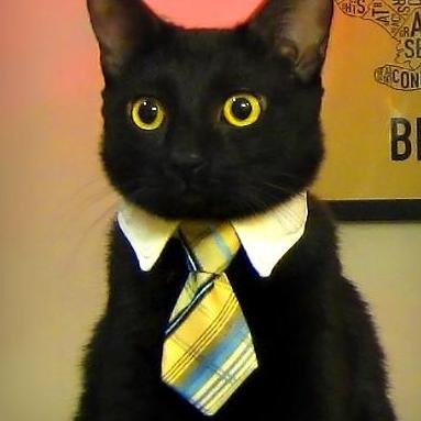 A Model Context Protocol Server for the UK Science Museum Group API