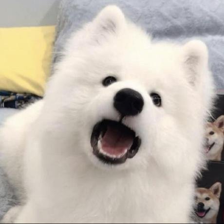 @pylogmonmcp/powerpoint-generator